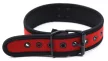 Puppy Neoprene Collar Adjustable Red