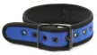 Neoprene Collar Adjustable Soft 10-14cm Blue