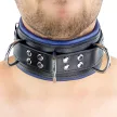 Bőr nyakörv - párnázott - 3 D gyűrű - Fekete/Kék - 7