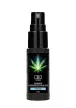 CBD Cannabis Pheromone Stimulator For Him - 15ml