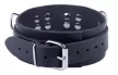 Ultra Leather Collar Metal Fasteners 5.5cm Black