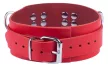 Ultra Leather Collar Red 5.5cm Width Adjustable Neck