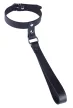 Leather Collar with Short Leash Cowhide Leather 35-49cm Neck 2.5cm Width 30cm Leash