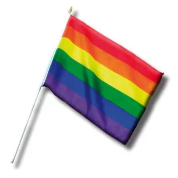 Mini Rainbow Flag 20 x 30 cm with Pole