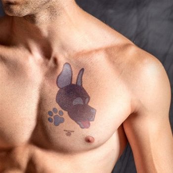 Ephemeral Puppy – ideiglenes tetoválás 10x15 cm