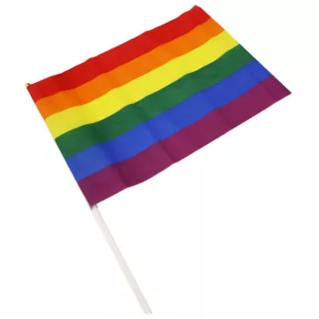 Rainbow Flag with Handle 30x43cm Polyester