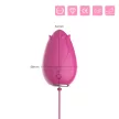 Mandala Vibrating Egg 9 Modes USB Rechargeable Waterproof Pink