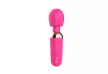 Little Fairy Wand Pink