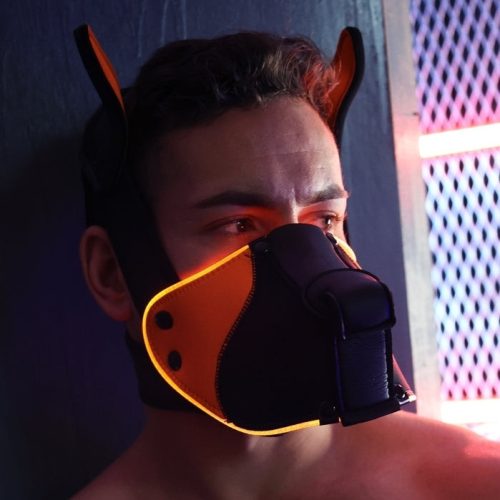 Poundtown Pup Breedwell maszk Fekete-narancssárga