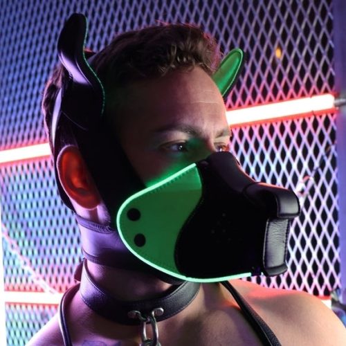 Poundtown Pup Breedwell maszk fekete-zöld
