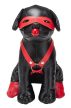 Faux Dog Bandit – 24 cm-es stílusos maszturbátor