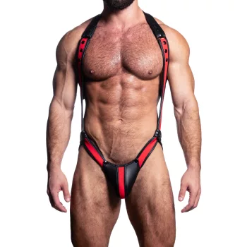 DIONISIO RED