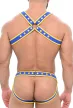 Poseidone Harness-Jock Készlet - Kék-Sárga színekben