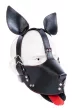 Puppy Kit 6 darabos fekete-vörös szett - Prémium kutyás kiegészítők - 2