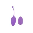 Sweety Teaser Rechargeable Vibrating Egg Remote Control Compact Quiet USB Charged