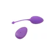 ESCN-801598821C33X - 4