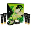 SHUNGA - KIT SECRET GEISHA BIO ZÖLD TEA - 2