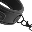 Fetish Submissive BDSM Collar with Leash Neoprene Lining Black