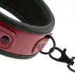 Fetish Submissive Collar with Neoprene Lining and Metal Chain BDSM Accessory