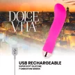 Dolce Vita Rechargeable Vibrator 7 Speeds 13.2cm Pink Silky Silicone