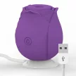 Mia Vibrator cu undă de aer 10 moduri încărcabil roz violet