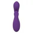 CALIFORNIA EXOTICS STELLA DUAL PLEASER VIOLET - 8