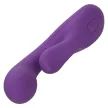 CALIFORNIA EXOTICS STELLA DUAL PLEASER VIOLET - 10