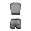 PASSION - 053 SZETT WILLIAM FEKETE S/M - 6