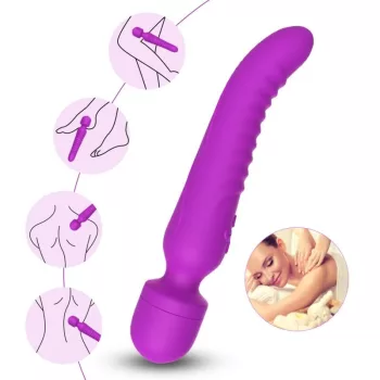   Armony Vibrator Massager Heat Effect 22cm Purple USB Rechargeable Waterproof