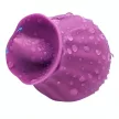 Armony Vibrator Fig 10 moduri Vibrație Purple 7.7 cm Silikon
