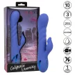 CALEXOTICS - L.A SZERELEM VIBRÁTOR & SZOPÓKA KÉK KALIFORNIAI ÁLMODOZÁSSAL - 2