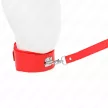 Kink Collar with Red Adjustable Leash Silver Studs 40-48 cm 116 cm Length