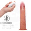 ESD-243372A11X - 3